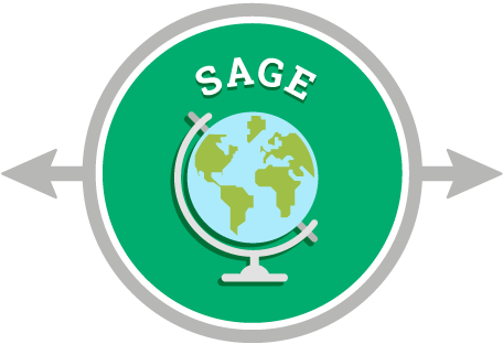 Sage Archetype